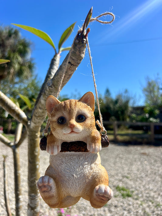 Hanging Orange Kitty
