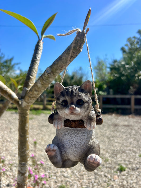 Hanging Grey Kitty